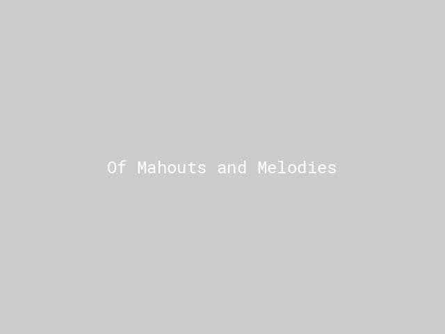 Of Mahouts and Melodies | Nature inFocus