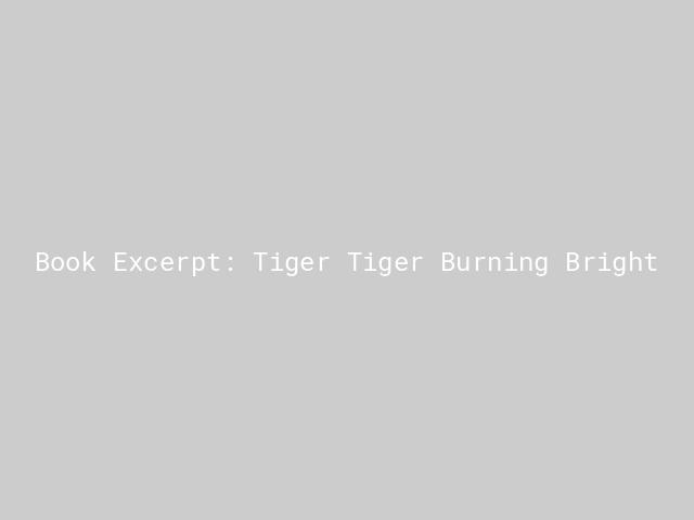 Book Excerpt: Tiger Tiger Burning Bright | Nature inFocus
