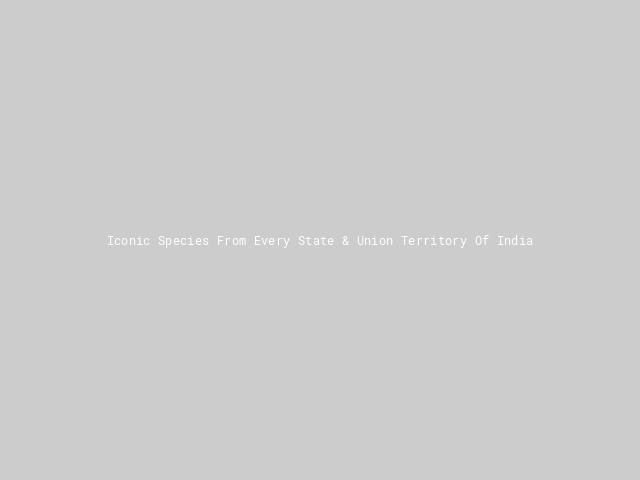Iconic Species From Every State & Union Territory Of India | Nature inFocus