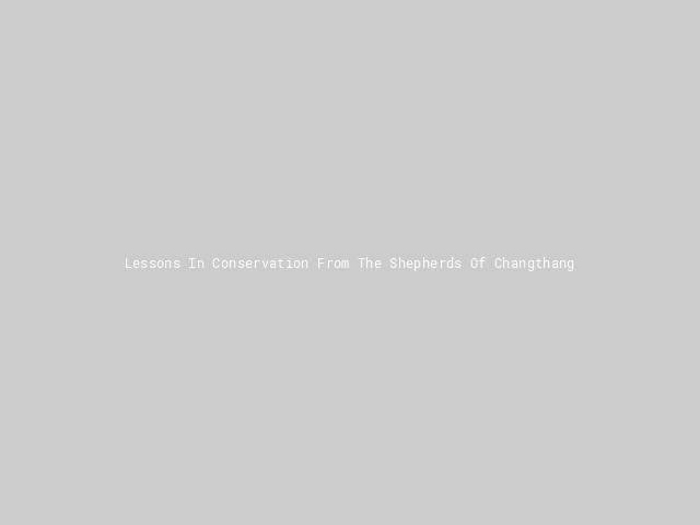 Lessons In Conservation From The Shepherds Of Changthang | Nature inFocus
