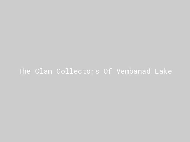 The Clam Collectors Of Vembanad Lake | Nature inFocus
