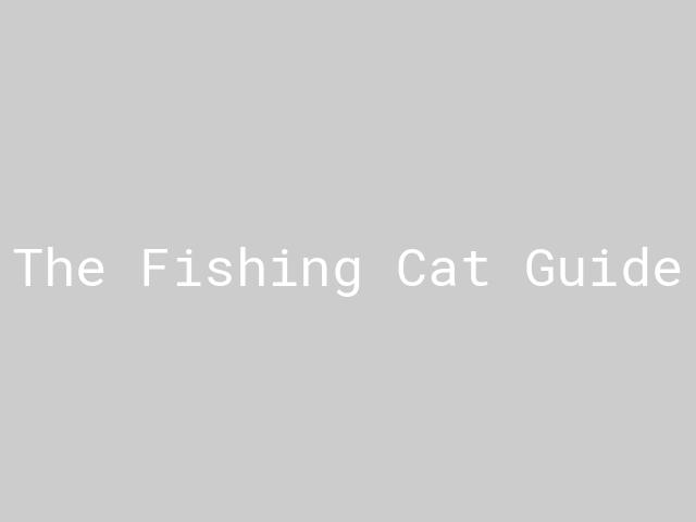 The Fishing Cat Guide | Nature inFocus