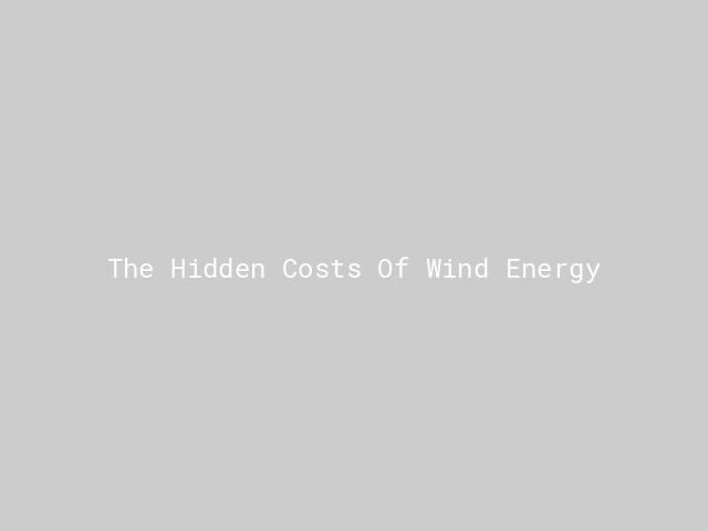 The Hidden Costs Of Wind Energy | Nature inFocus