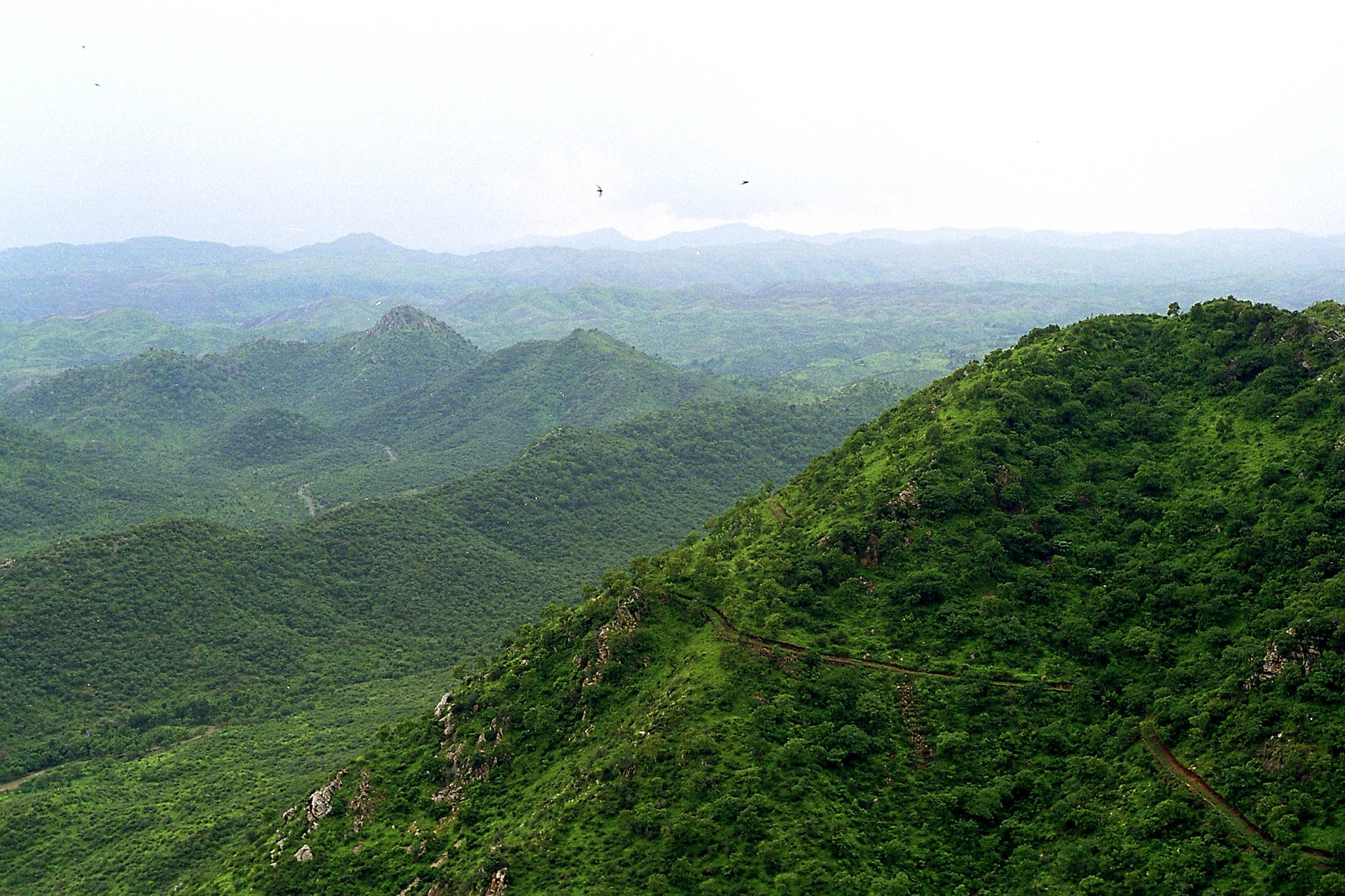 The Aravallis: From Forest To Desert