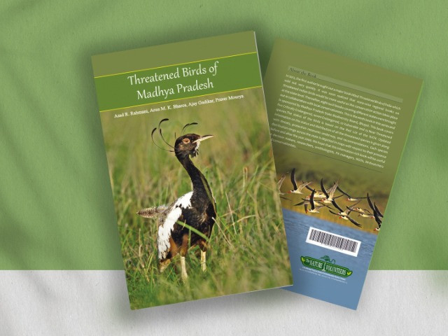 Threatened Birds Of Madhya Pradesh