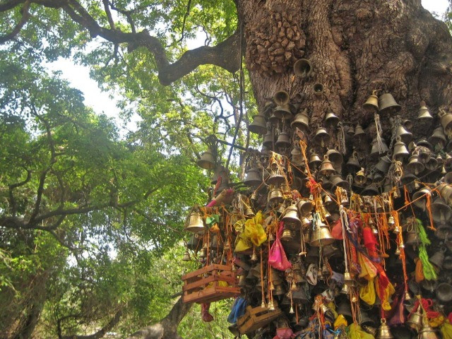 Can Religious Beliefs Aid In Conservation?