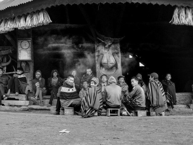 It Takes An Entire Village To Save A Forest