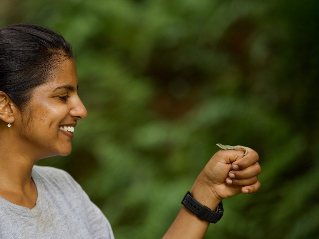 Ashwini Mohan Talks Geckos, Islands And Evolution