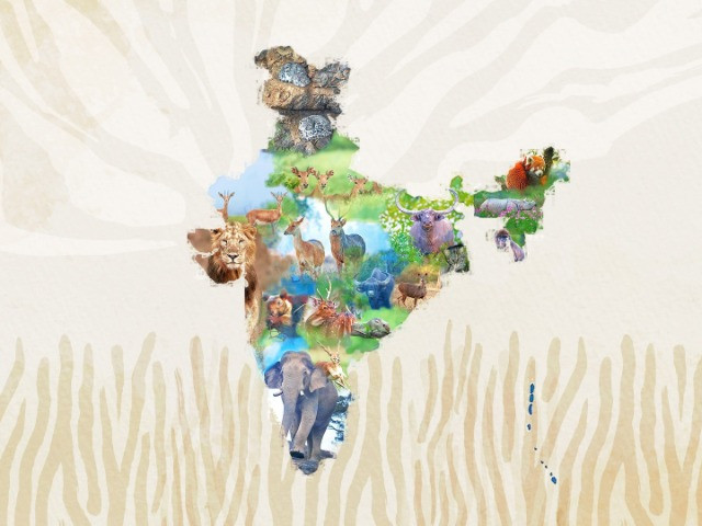 Meet The State Animals Of India