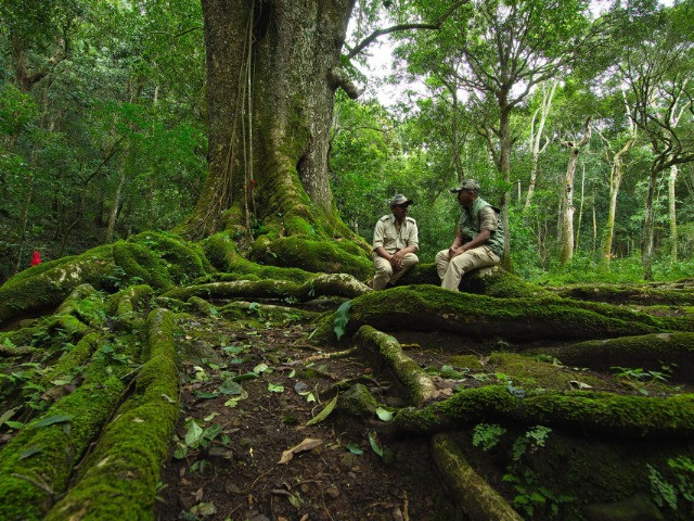 Celebrating The Forests Of Karnataka