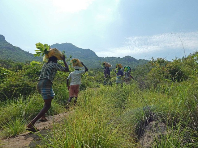 Restoring The Sacred Arunachala Hill