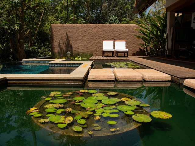Evolve Back Coorg: Living A Planter's Best Life