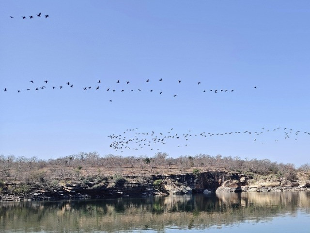 Gandhi Sagar Wildlife Sanctuary