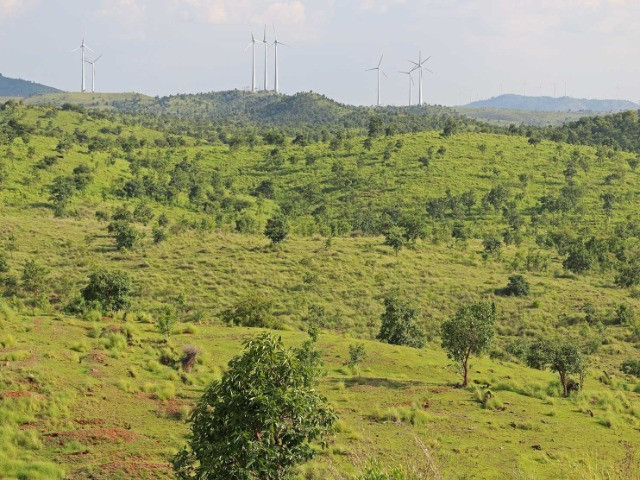 Conservation And The Commons