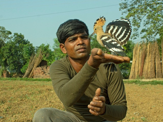 A Wildlife Enthusiast's Journey Towards Conservation