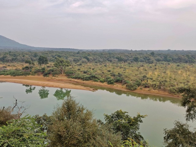 Kuno National Park: The Hidden Gem Of India's Heartland