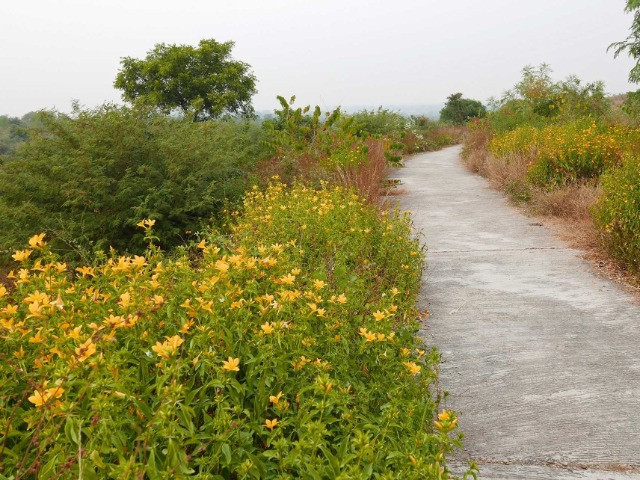 The Revival Of Aravali Biodiversity Park