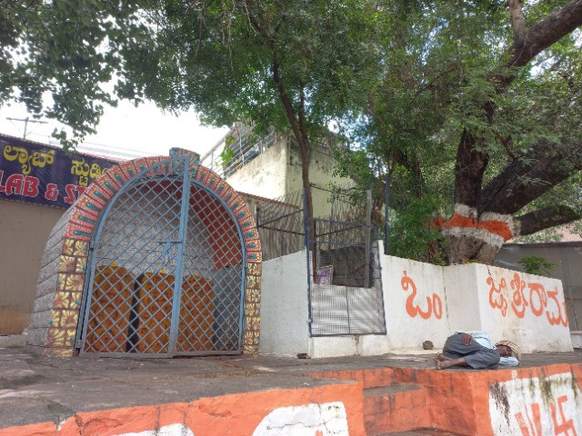 The Plague, a Goddess, and the Tree at the Heart of Bengaluru