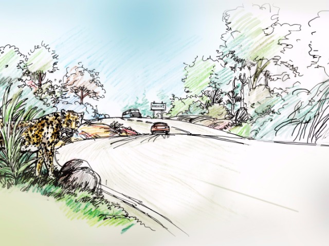 Why Did The Leopard Cross The Road?