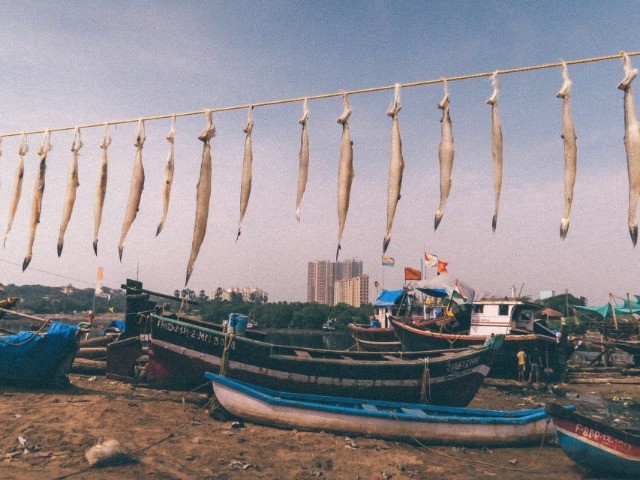 Versova's Ways