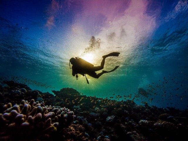 A Lens On The Ocean