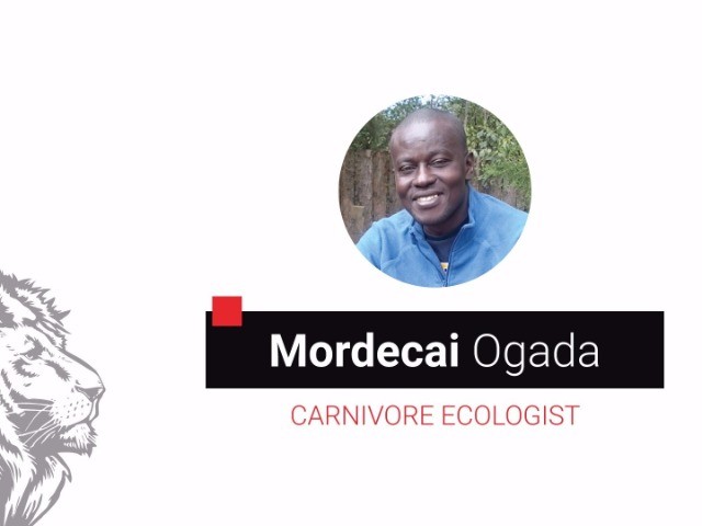 Mordecai Ogada and The Big Conservation Lie