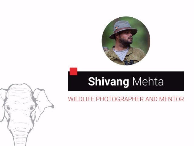 Wildlife Tourism: A New Perspective