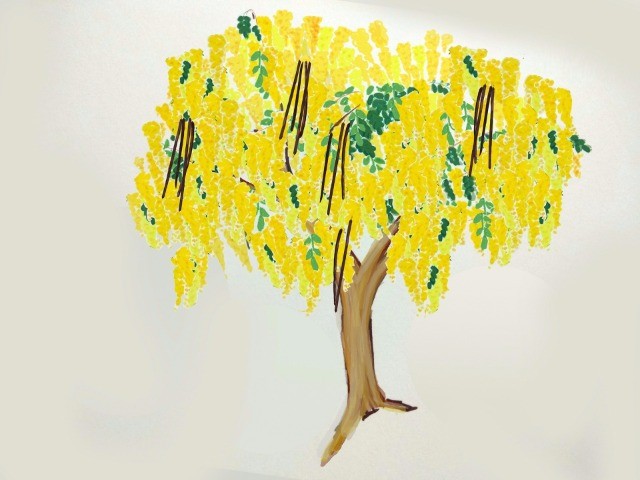 The Golden Shower Tree