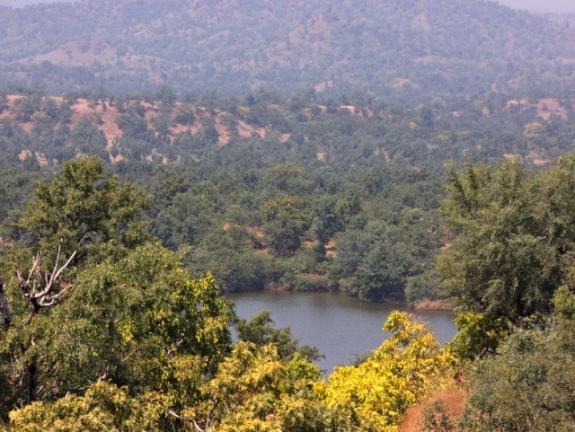 The Revival Of Yawal Wildlife Sanctuary