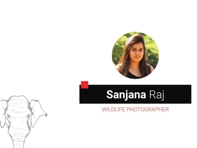 Finding Your Photography Style