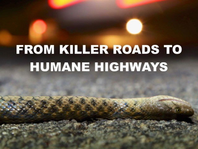 From Killer Roads to Humane Highways