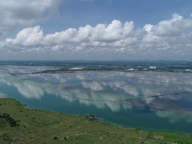 Reminiscing Wetlands