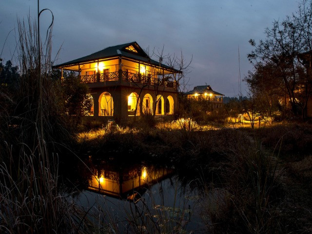 Jim's Jungle Retreat: Seek The Tiger, Find The Jungle