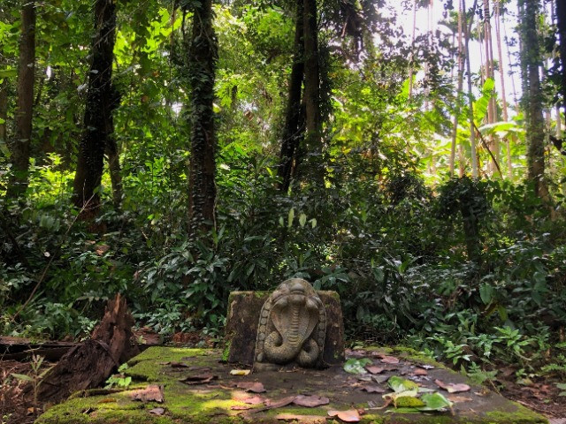 The Untouched Forests of Serpent Worship