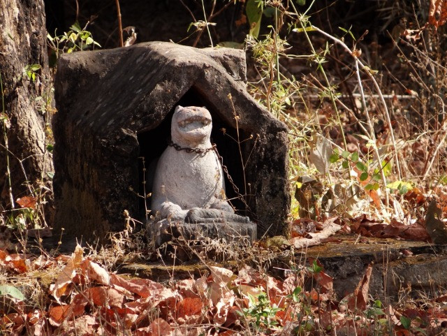 Tadoba’s Waghoba