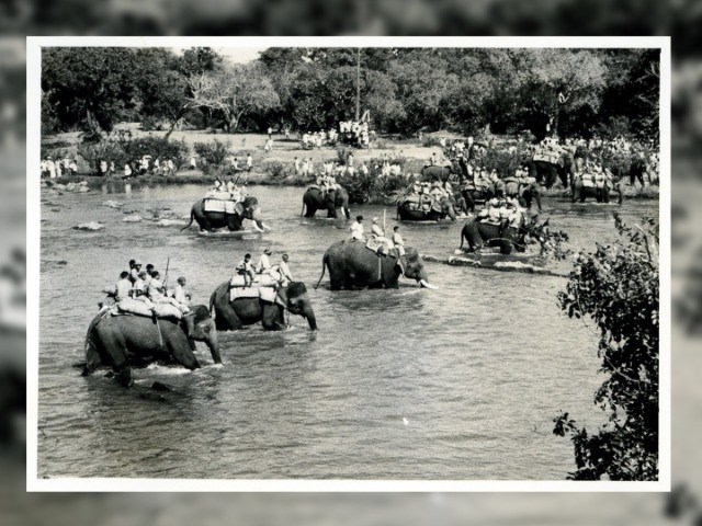 Kabini's History of Khedda Elephant Capture