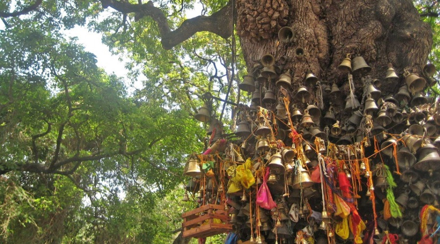Can Religious Beliefs Aid In Conservation?