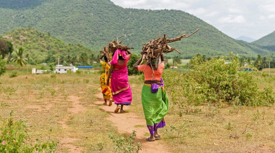 Community-Based Conservation In The Male Mahadeshwara Hills