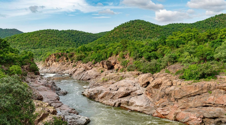Cauvery Wildlife Sanctuary And The Controversial Mekedatu Project