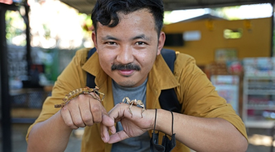 Zooming In On Edible Insects