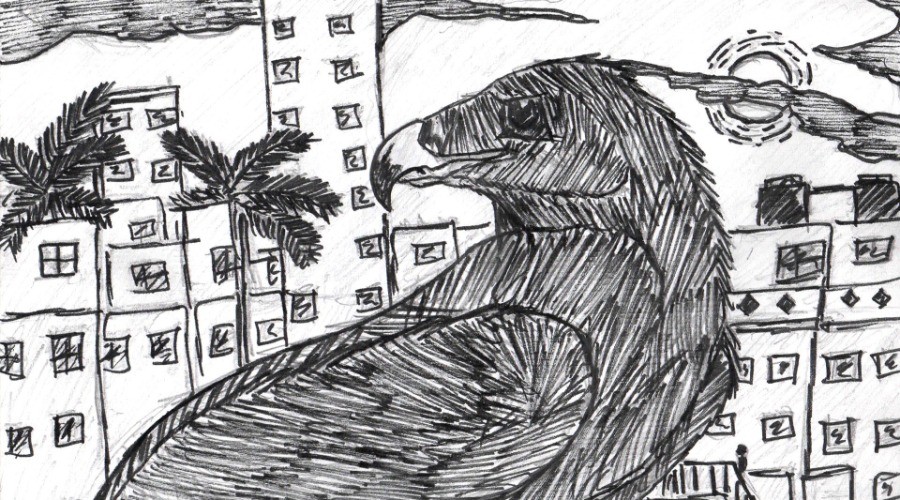 Morning Encounters With Horus