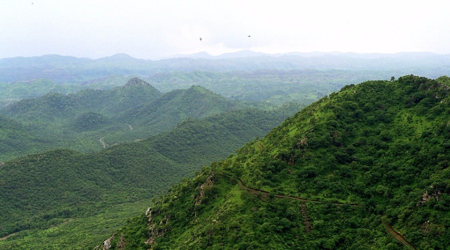 The Aravallis: From Forest To Desert