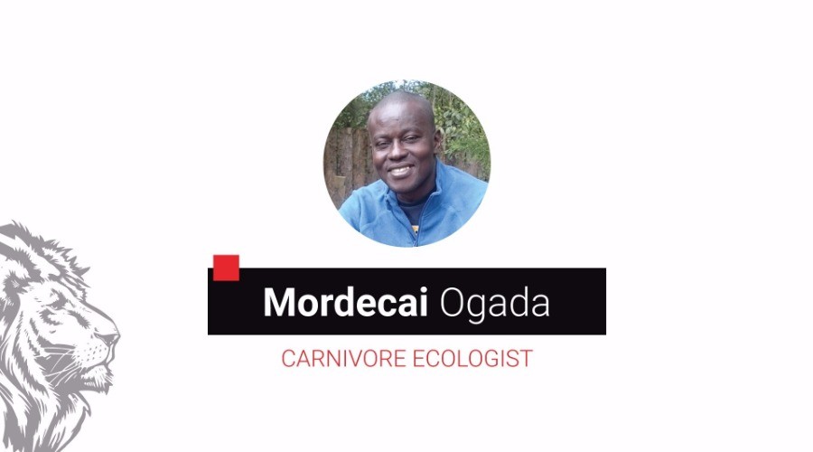 Mordecai Ogada and The Big Conservation Lie