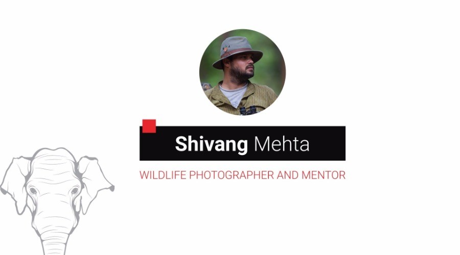 Wildlife Tourism: A New Perspective