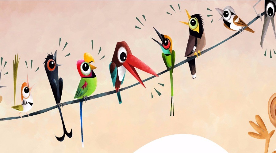 Birds Have A Lot To Say!