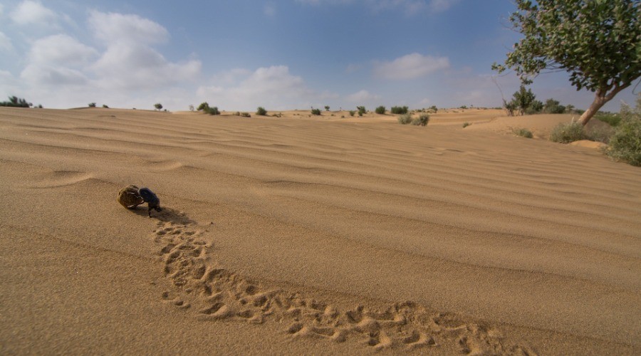Desert National Park
