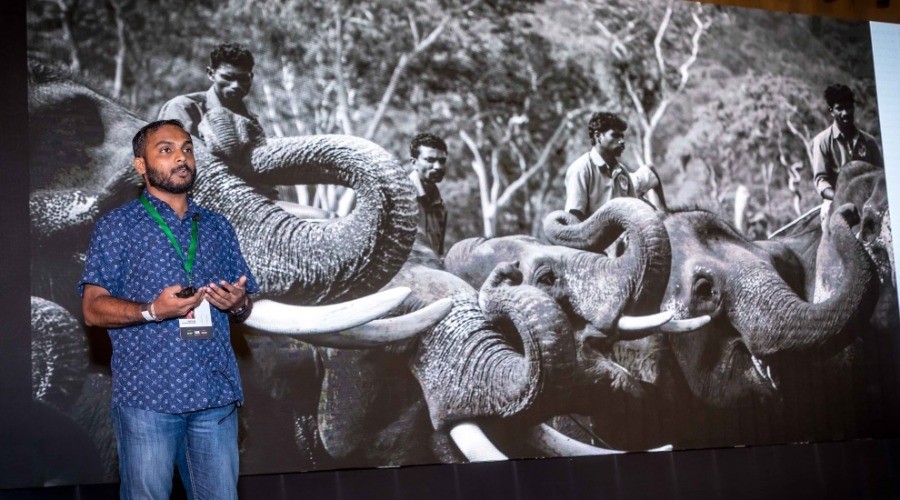 Sreedhar Vijayakrishnan: Elephant in Focus