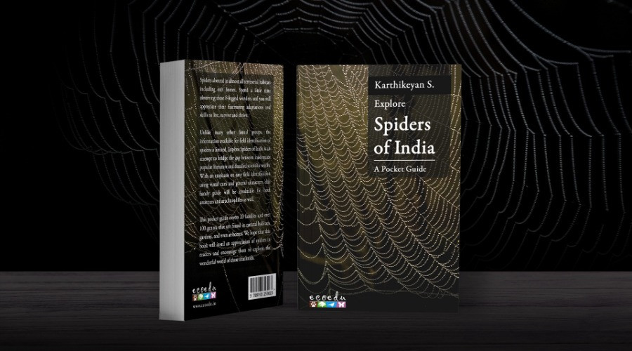 A Handy Field Guide To The Spiders Of India