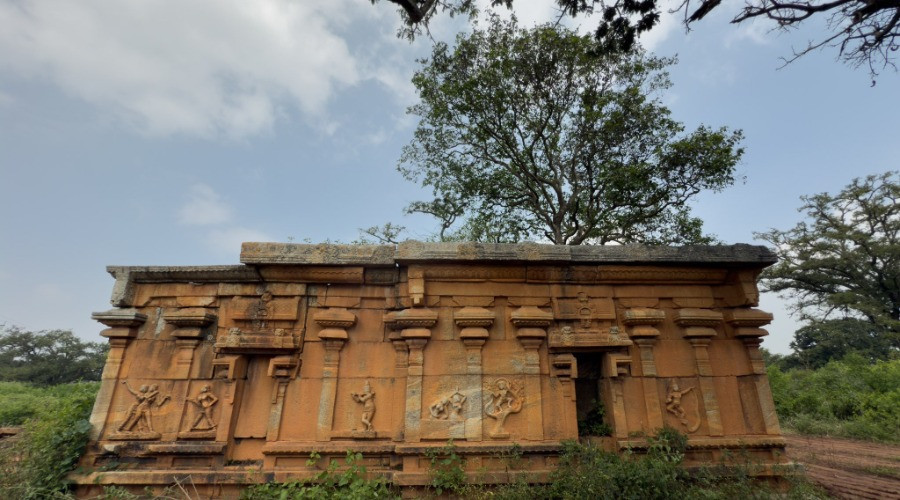 The Ancient Tamarind Trees of Nallur