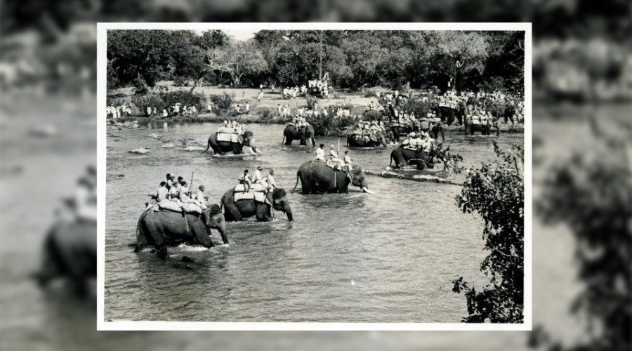 Kabini's History of Khedda Elephant Capture